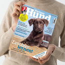 Person in beigem Strickpullover hält die Zeitschrift „Partner Hund“ mit blauem Titelhintergrund, zentralem Foto eines braunen Labradorwelpen im Sand und weißen sowie blauen Überschriften, darunter „Leichter lernen! Durch Verständnis, Beziehung & Motivation“, Themen zu Hundegesundheit, Sommerhitze, Ernährung, Training und Reiseziel Abruzzen; oben rechts Heftangabe „Ausgabe 8/2026“.