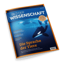 Cover der Zeitschrift Bild der Wissenschaft mit einem Orca und einem Wal unter Wasser, die Schallwellen aussenden. Hauptschlagzeile: Die Sprache der Tiere.