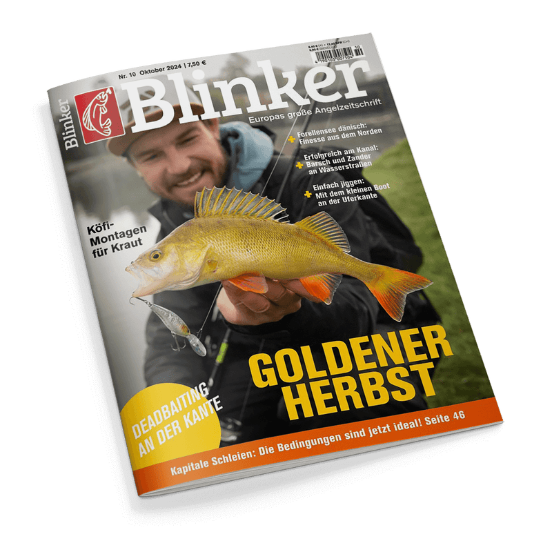 Blinker