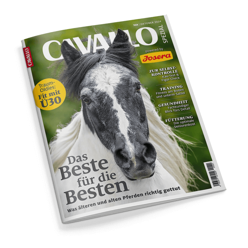 Cavallo