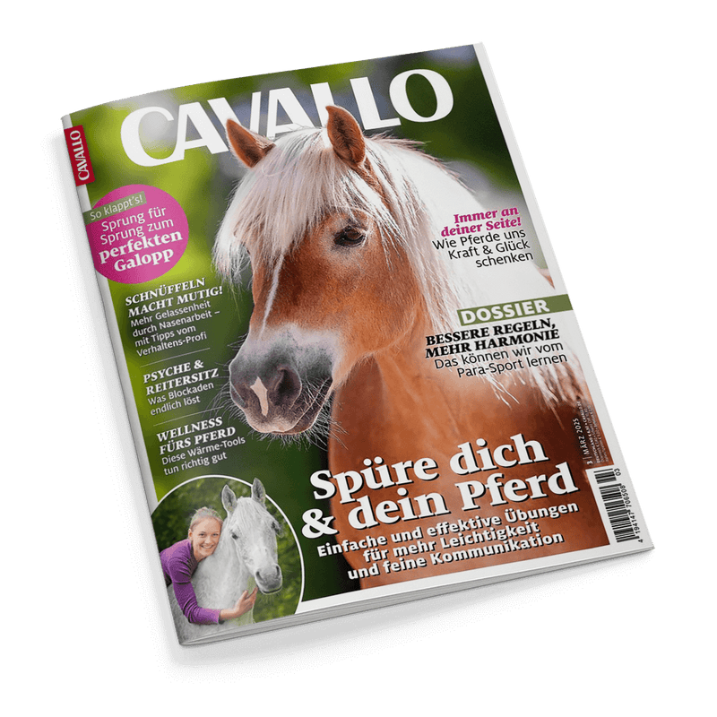 Cavallo