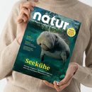 Magazin „natur“ mit Titelbild einer Seekuh unter Wasser, türkis-blauer Hintergrund mit Lichtreflexen. Gelbe Überschriften: „Seekühe – Mächtige Säugetiere, die Seegras weiden und dabei das Unterwasser-Ökosystem formen“. Weitere Texte: „Halligen“, „Himalaya“, „Amphibienarche“. Eine Person in beigefarbenem Pullover hält das Magazin mit beiden Händen vor neutralem, hellem Hintergrund.