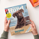 Titelblatt des Magazins „Partner Hund“, Ausgabe August 2026, mit einem braunen Labradorwelpen, der im Sand liegt, vor hellblauem Hintergrund. Hauptüberschrift: „Leichter lernen! Durch Verständnis, Beziehung & Motivation“. Weitere Texte: „Heiße Tage – So schützt du ihn vor Überhitzung“, „Abruzzen – Entdecke das grüne Herz Italiens“, gelber Kreis mit Text „Echtes Expertenwissen – Nutzt den Sommer und werdet ein Team“. Zwei Hände halten das Magazin über hellem Tisch.