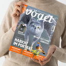 Person in beigefarbenem Pullover hält das Magazin „vögel“ mit graublauem Titelhintergrund in beiden Händen; auf dem Cover ein fliegender Habicht mit ausgebreiteten Flügeln und ein kleiner Singvogel mit blauer Brust auf einem Zweig. Sichtbare Texte: „Wendiger Jäger – Habicht im Porträt“, „Neuer Tiefstand erreicht“, „Bessere Aussichten“, „Wiedererkannt“, „Wiedergekehrt“, „Wiederbelebt“, „Magazin für Vogelbeobachtung“.
