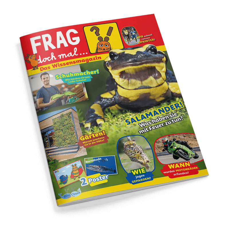 Cover des Magazins FRAG doch mal... mit einem großen schwarz-gelben Salamander und der Schlagzeile "Salamander! Was haben sie mit Feuer zu tun?".