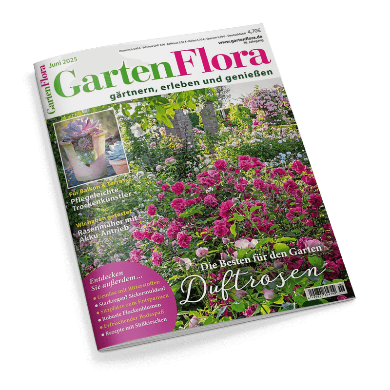 Cover des Magazins GartenFlora, Juni 2025, zeigt einen blühenden Rosengarten mit pinken Rosen im Vordergrund und der Schlagzeile Duftrosen.