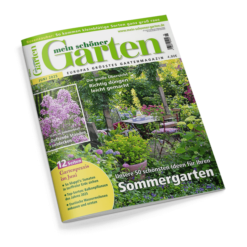 Cover des Magazins mein schöner Garten, Juni 2025, mit einem üppigen Sommergarten und der Schlagzeile Unsere 50 schönsten Ideen für Ihren Sommergarten.