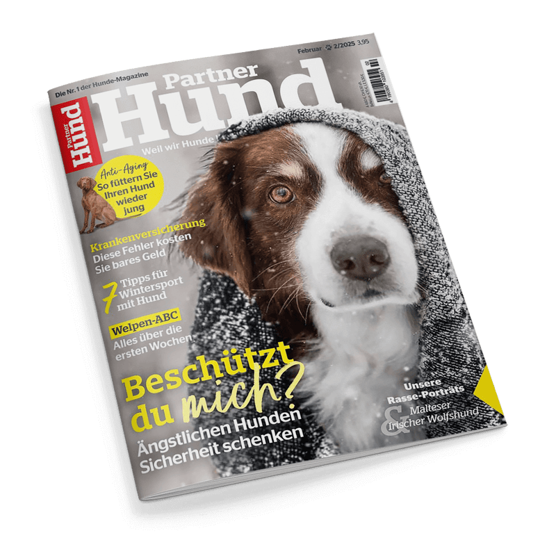 Partner Hund