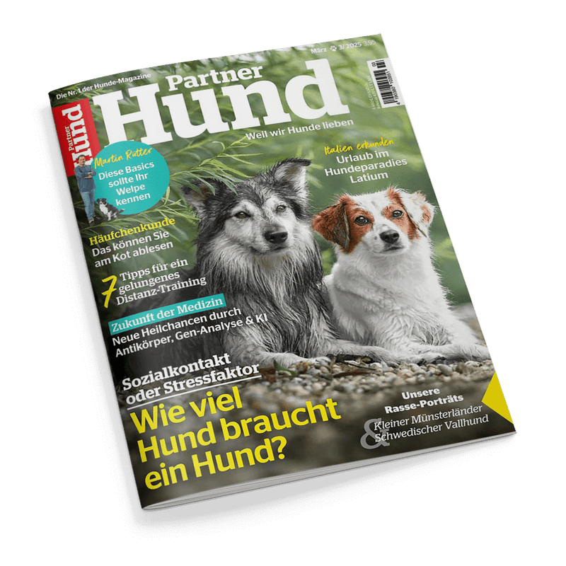 Partner Hund