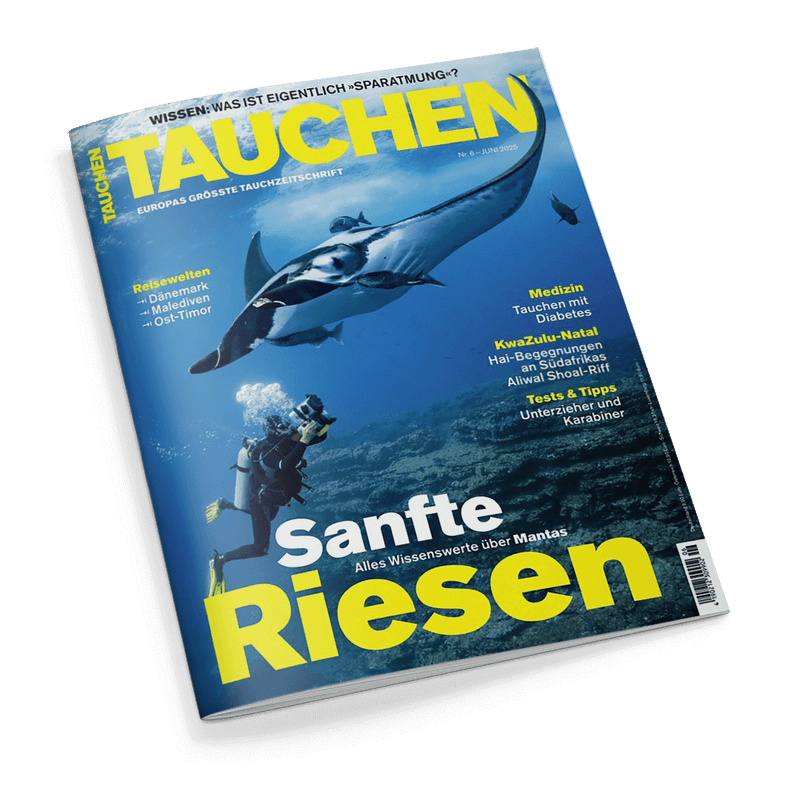 Cover des Magazins TAUCHEN mit einem Taucher und einem großen Mantarochen unter Wasser. Hauptschlagzeile: Sanfte Riesen.