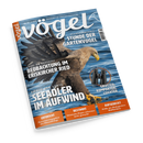 Titelbild der Zeitschrift „Vögel“, Ausgabe Nr. 87 / 5-2025, mit einem fliegenden Seeadler über Wasser im Zentrum; Schlagzeilen u. a.: „Seeadler im Aufwind“, „Beobachtung im Eriskircher Ried“, „Stunde der Gartenvögel“, „Größer, kompakter, leichter“ (mit abgebildetem Fernglas Zeiss SFL 10x50), sowie Themen zu Vogelbestimmung, Überwinterung des Fichtenkreuzschnabels und Kritik am ökologischen Waldumbau.